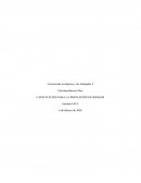 CAPACITACIÓN PARA LA PREVENCIÓN DE RIESGOS