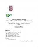 Planeación de Riesgo e Impacto Ambiental
