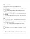 Gerencia Estrategica Philips versus Matsushita