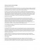 Tácticas para soportar nuestras estrategias. Gestión Eficiente del Inventario