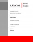 Ensayo I: Arch Daely; Artículo de Le Corbusier y el lenguaje del color