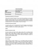 Informe Fonoaudiológico