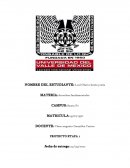 Unidad 1 derechos fundamentales