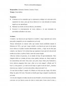 Plan de continuidad pedagógica