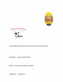 Emprendimiento informe