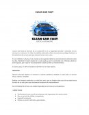 CLEAN CAR FAST