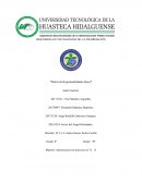 Matriz Rasci de Grupo de Trabajo