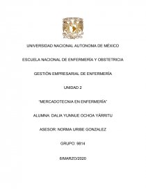 Actividad unidad 2 gestion empresarial en enfermeria. Página 1