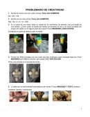 PROBLEMARIO DE CREATIVIDAD