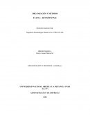 ORGANIZACIÓN Y METODOS ETAPA 4 – REVISIÓN FINAL