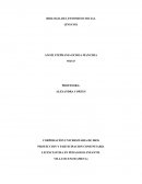 BIOLOGIA DEL FENOMENO SOCIAL