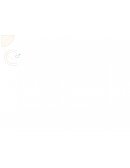 Estado de Flujo de Efectivo