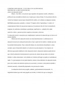 CONSTRUCCION SOCIAL Y CULTURAL EN LAS INFANCIAS