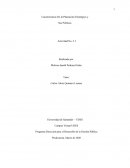 Características De la Planeación Estratégica y Sus Políticas