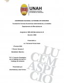 Creacion de un catalogo de marca o de simbolo