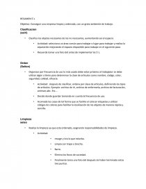 ESTABLECIENDO CASO PRACTICO DE 5,S. Página 1