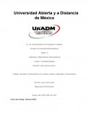 Trabajo: Actividad 2 Operaciones con números enteros, decimales y fraccionarios