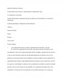 Importancia del proceso lógico de la mercadotecnia y su sistema de información