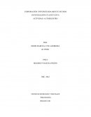 Actividad: Autoregistro. Descripciòn de la conducta