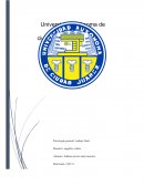 Actitudes cognición e influencia social