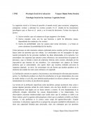 Psicología Social de las Américas, Cognición Social