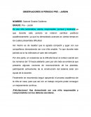 OBSERVADORES III PERIODO PRE – JARDIN