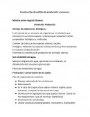 Construcción de política de producción y consumo. Materia prima vegetal: Banano