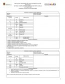 Submódulo III práctica la cocina vegetariana