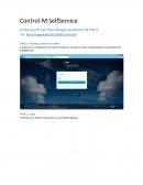 Control M SelfService