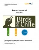 Examen transversal Birdschile