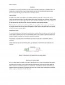 Marco Teórico dinamica