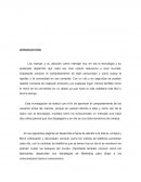 INVESTIGACION Las marcas y su adicción