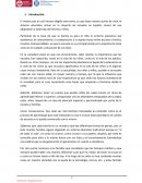 Sistema educativo actual en la mayoría de escuelas en España