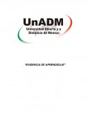 EVIDENCIA DE APRENDIZAJE FUNDAMENTOS DE PROGRAMACIÓN UNADM