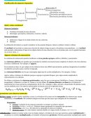 Conocimiento de las matematicas. NÚMEROS NATURALES