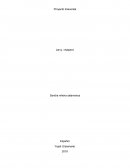 ¿Cómo nos afecta la publicidad verde engañosa?