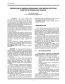PRODUCION DE ENERGIA RENOVABLE POR MEDIOS DE OTRAS FUENTES DE BIOMASA DE BAGAZO