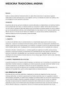 Medicina tradicional andina