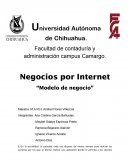NEGOCIOS POR INTERNET