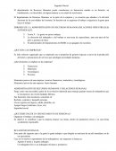 Resumen Capital Humano