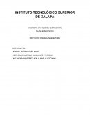 PLAN DE NEGOCIOS PROYECTO POMADA INGENIATURA