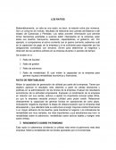 LOS RATIOS E INDICADORES FINANCIEROS