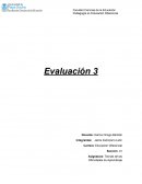 Teorías de las Dificultades de Aprendizaje