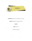 Analisis de pelicula luna amarga