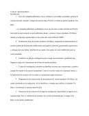 Ciclo de vida del producto