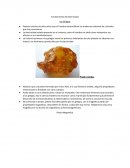 Fundamentos de electricidad