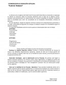 PLAN DE TRABAJO GERENTE DE OPERACIONES