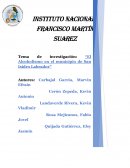 El alcoholismo en el municipio de San Isidro Labrador