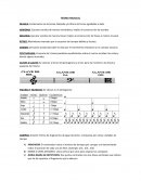 TEORIA MUSICAL