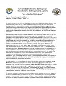 La realidad del videojuego